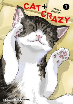 Cat + Crazy Cover
