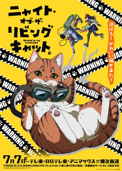 Night of the Living Cat Visual