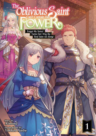 Light novel cover