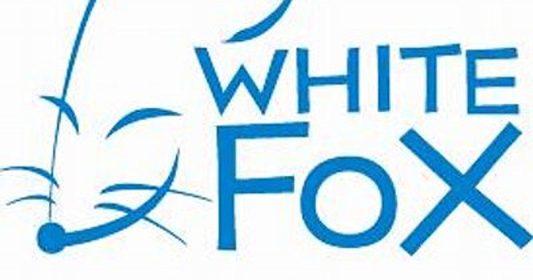 AlphaPolis Acquires White Fox: A Game-Changer in Anime Production